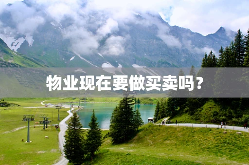 物业现在要做买卖吗？