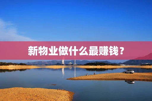 新物业做什么最赚钱？