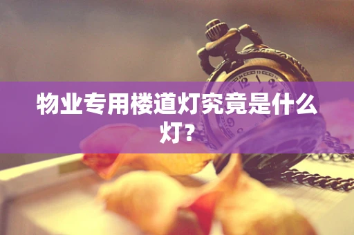 物业专用楼道灯究竟是什么灯？
