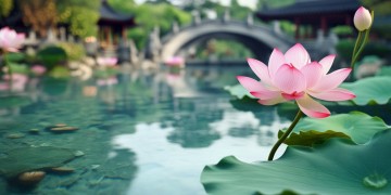 池州物业费会打折吗？