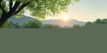 曹湖物业究竟在什么地方？