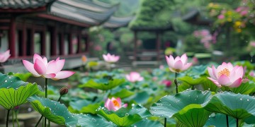 定边芙蓉苑物业会收费吗？