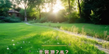 业主可以要求换物业吗？