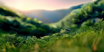 酉阳香山丽景物业会收费吗？